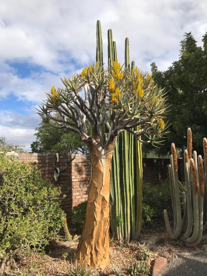 Pane Vivente Garden Cottage Beaufort West Εξωτερικό φωτογραφία