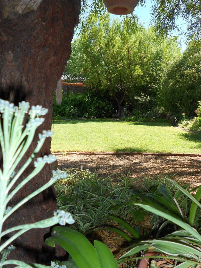 Pane Vivente Garden Cottage Beaufort West Εξωτερικό φωτογραφία